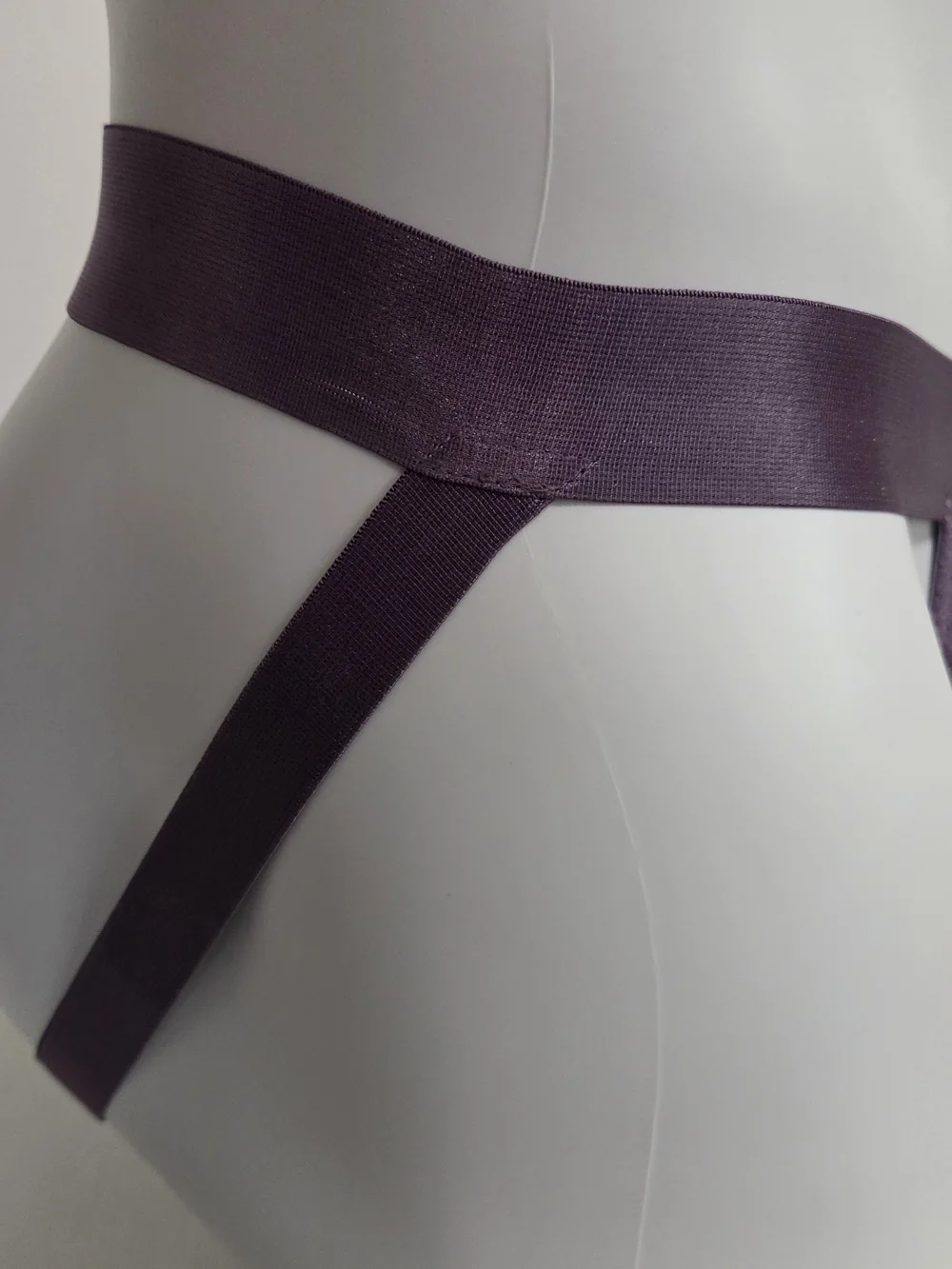 Cosabella Men's Jockstrap In Zaadi Purple